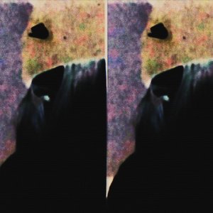 Lucid Drear