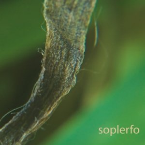 Soplerfo