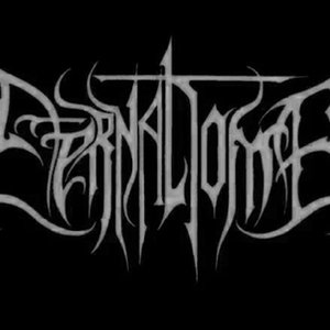 Eternal Tomb 的头像