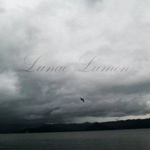 Lunae Lumen 的头像
