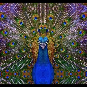 The Witness EP