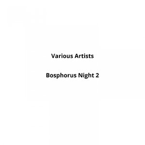 Bosphorus Night, Vol. 2
