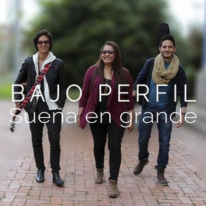 “BAJO PERFIL”的封面