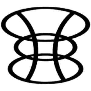 The Limbik System için avatar