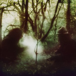 Immagine per 'Wolves in the Throne Room'