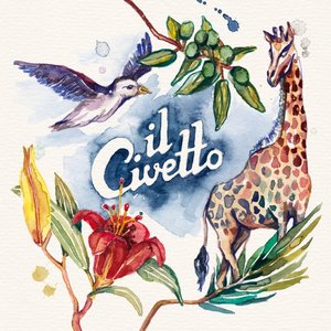 il Civetto - il Civetto