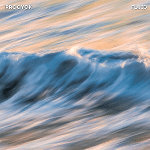 Fluid