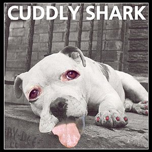 Cuddly Shark