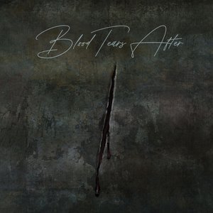 Blood Tears After 的头像