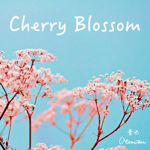 Cherry Blossom