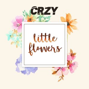 Little Flowers