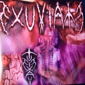 Exuviate