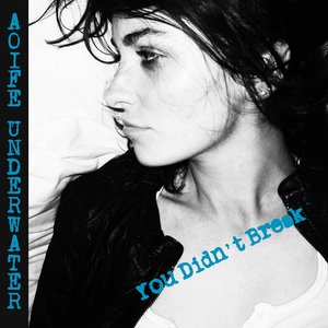 You Didn't Break - Single