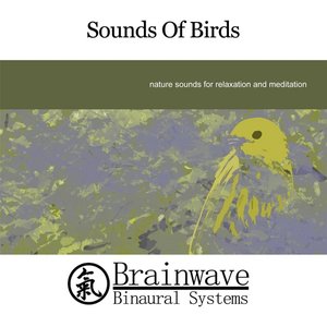 Sounds of Birds