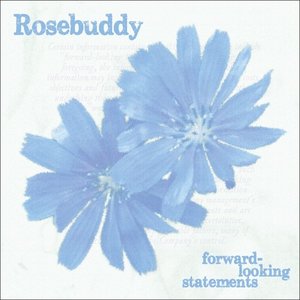 Forward-Looking Statements