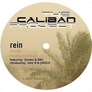 Rein