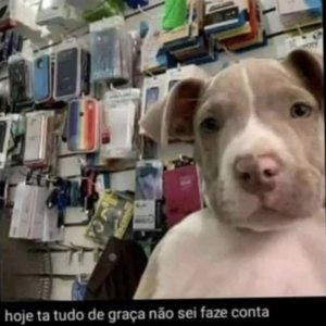 Avatar for DJ INSTAGRAMMER