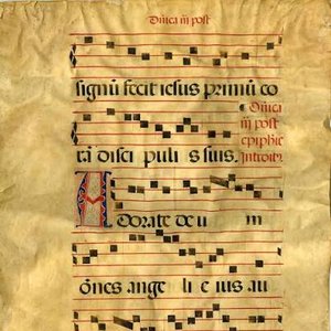 Tradicional 的头像