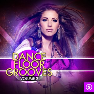 DanceFloor Grooves, Vol. 2