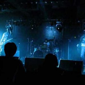 The Capelin 的头像