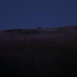 46 (Be Still) - Single