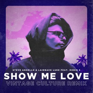 Show Me Love (Vintage Culture Remix)