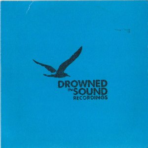 Drowned In Sound Digital Singles Club Presents...