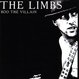 Boo The Villain