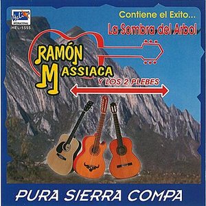 La Sombra Del Arbol