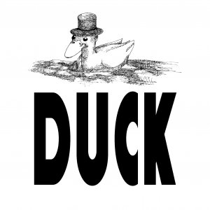 Image for 'Duck'