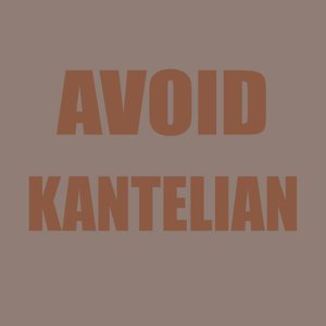 Kantelian 的头像