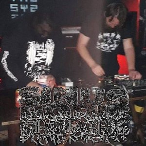 SinusRoris 的头像