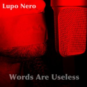 Words Are Useless