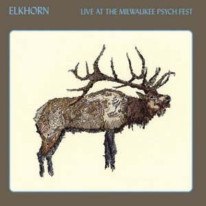 Live At The Milwaukee Psych Fest