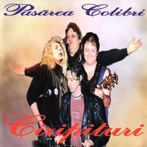 Renunțare veselă cover