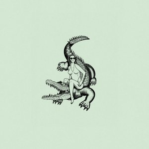 Riding the Crocodile