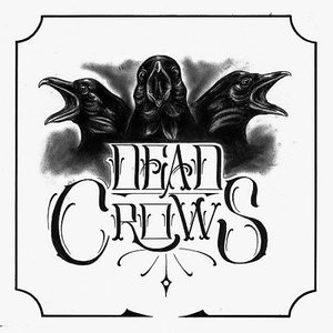 dead crows