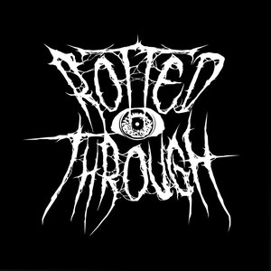 Rotted Through 的头像