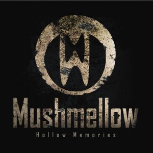 “Hollow Memories (LP) 2008”的封面