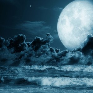 Reaching the Moon 的头像