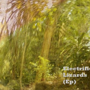 Electrified Lizards 的头像