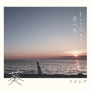 葵