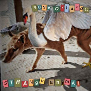 Strange Animal