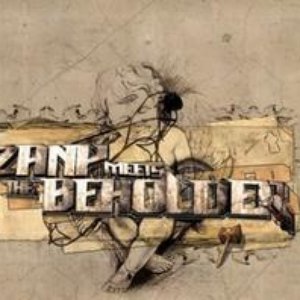 Dj Zany meets the Beholder のアバター