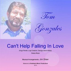 Can't Help Falling in Love