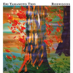 Redwoods