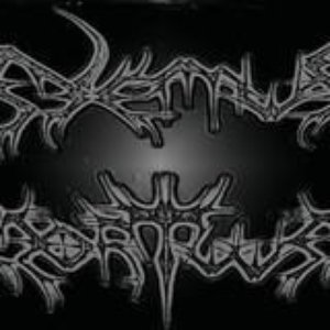 Nemus Mortuum 的头像