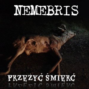 Avatar for Nemebris