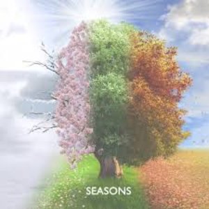 Seasons