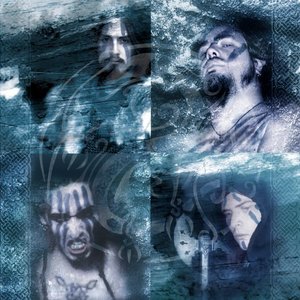 Shieldwall 的头像